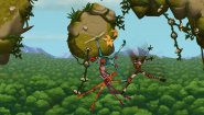 Immagine Immagine Frog Climbers PC