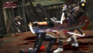 Immagine Ninja Gaiden Sigma PC