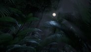 Immagine Immagine Green Hell VR PC