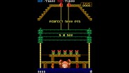 Immagine Immagine Arcade Archives DONKEY KONG 3 Nintendo Switch