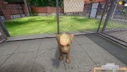 Immagine Immagine Animal Shelter Simulator Xbox One