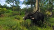 Immagine Immagine theHunter Classic PC