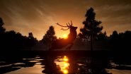 Immagine Deer Journey (PC)